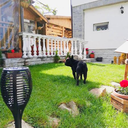 Guest house Grahlyov Sapareva Banya Extérieur photo